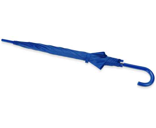 Зонт-трость Яркость, 907002, Цвет: синий, изображение 3