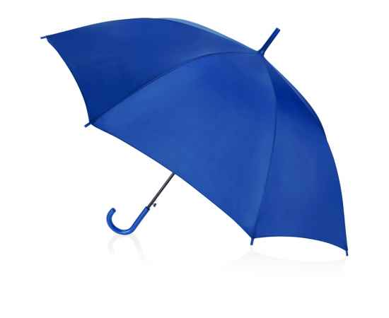 Зонт-трость Яркость, 907002, Цвет: синий, изображение 2