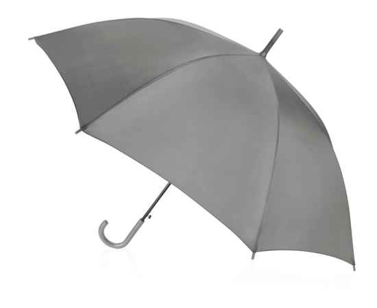 Зонт-трость Яркость, 907088, Цвет: серый, изображение 2