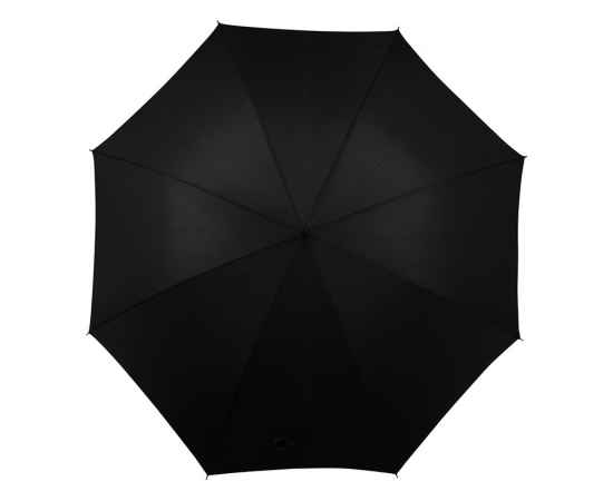 Зонт-трость Алтуна, 906157, Цвет: черный, изображение 2