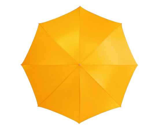 Зонт-трость Lisa, 10901701р, Цвет: желтый, изображение 2
