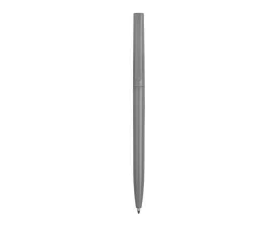 Ручка пластиковая шариковая Reedy, 13312.00, Цвет: серый, изображение 2