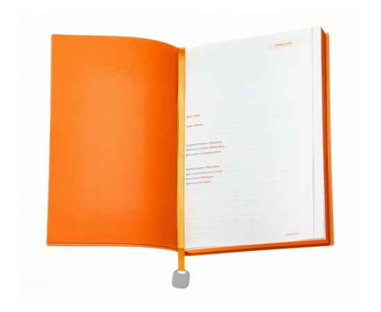 Ежедневник недатированный А5 Mercury, 3-435.09, Цвет: оранжевый,красный, изображение 2