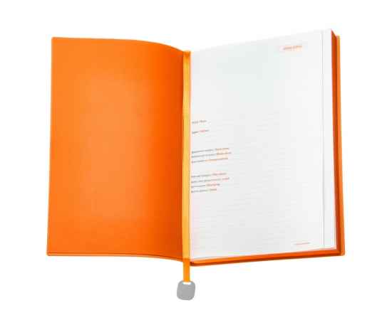 Ежедневник недатированный А5 Mercury, A5, 3-435.24, Цвет: оранжевый,темно-зеленый, изображение 2
