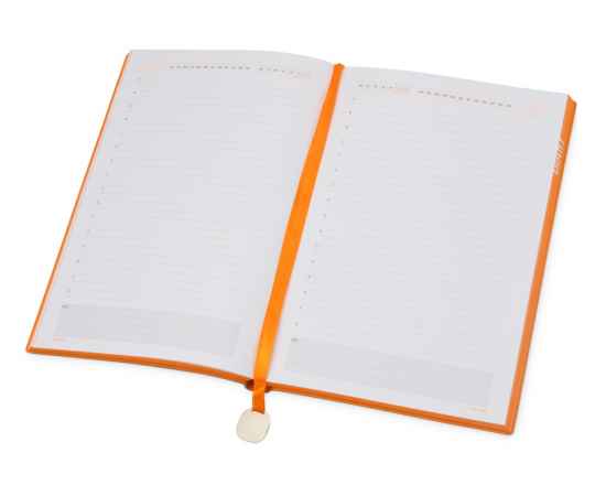 Ежедневник недатированный А5 Mercury, 3-435.06, Цвет: черный,оранжевый, изображение 3