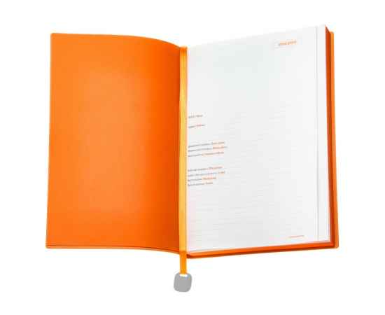 Ежедневник недатированный А5 Mercury, 3-435.07, Цвет: оранжевый,салатовый, изображение 2