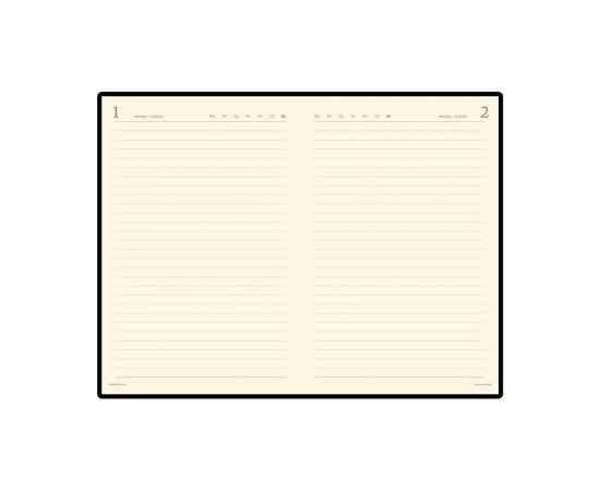 Ежедневник полудатированный портфолио А5 Profy, 3-073.03, Цвет: коричневый, изображение 2