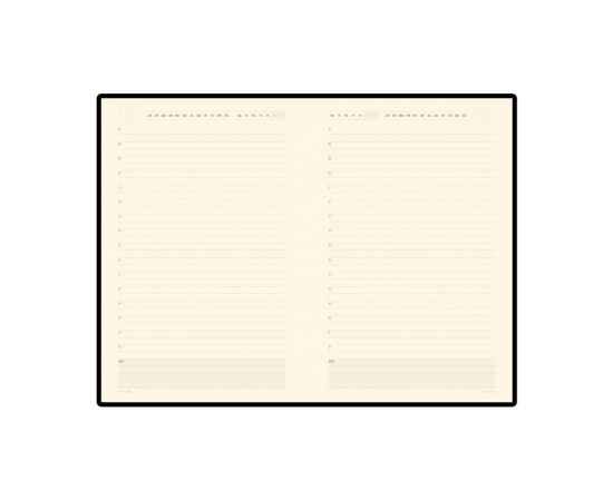 Ежедневник недатированный А5 Monaco, 3-518.03, Цвет: коричневый,оранжевый, изображение 2