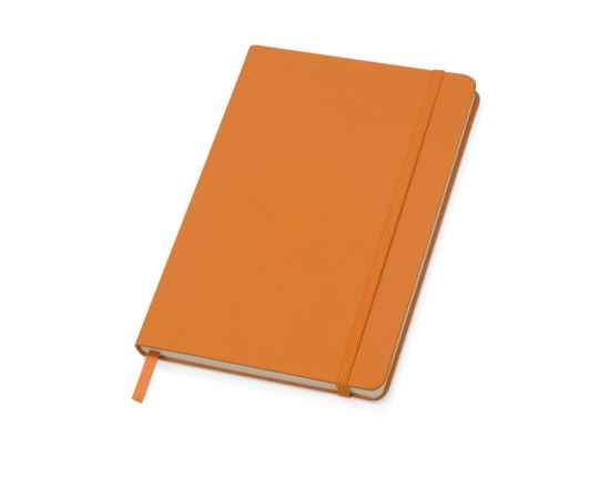 Подарочный набор Uma Vision с ручкой и блокнотом А5, 700325.13, Цвет: оранжевый,оранжевый, изображение 3