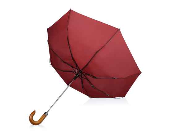 Зонт складной Cary, 979078, Цвет: бордовый, изображение 3