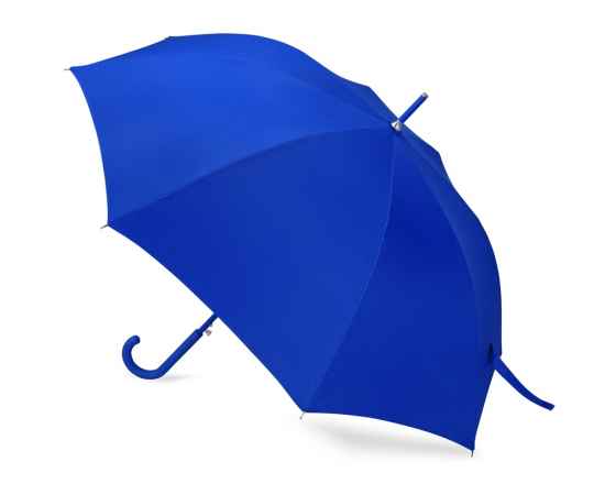 Зонт-трость Silver Color, 989062, Цвет: синий, изображение 2