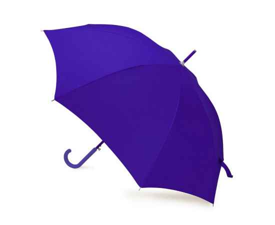Зонт-трость Color, 989052, Цвет: темно-синий, изображение 2