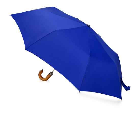 Зонт складной Cary, 979062, Цвет: темно-синий, изображение 2
