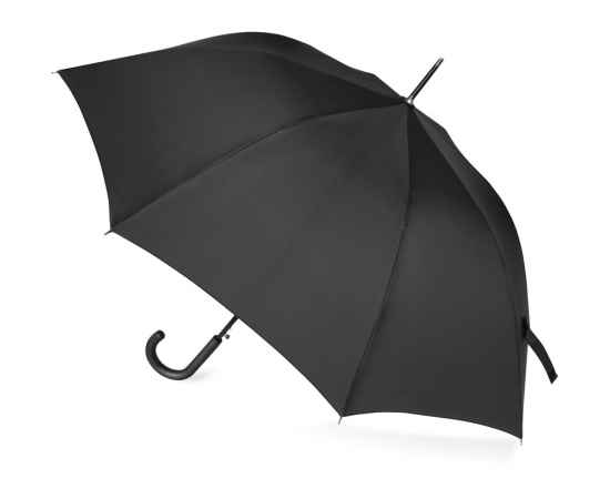 Зонт-трость Wind, 979067, Цвет: черный, изображение 2