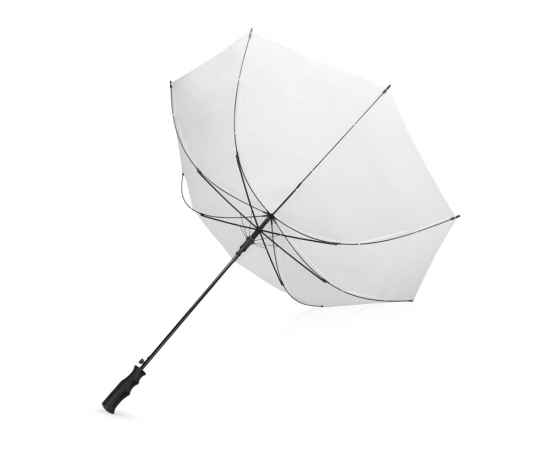 Зонт-трость Concord, 979026, Цвет: белый, изображение 3