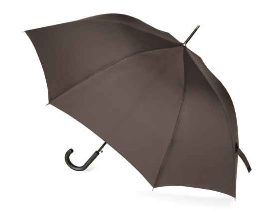 Зонт-трость Wind, 989008, Цвет: коричневый, изображение 2