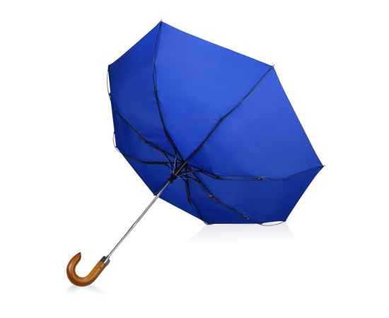 Зонт складной Cary, 979062, Цвет: темно-синий, изображение 3