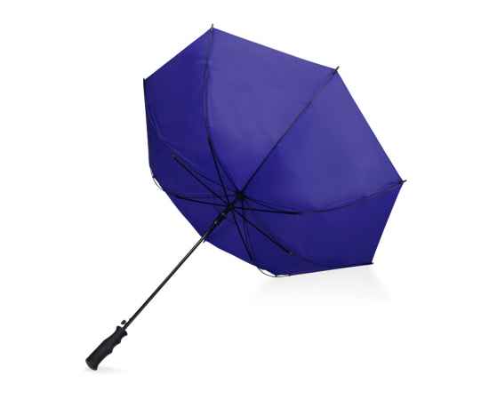 Зонт-трость Concord, 979082, Цвет: темно-синий, изображение 3