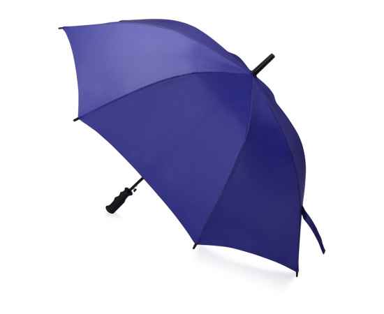 Зонт-трость Concord, 979082, Цвет: темно-синий, изображение 2