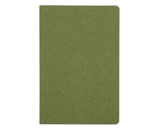Блокнот А5 Snow, 781163, Цвет: зеленый, изображение 3