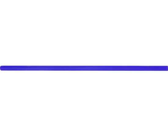 Трубочка многоразовая Fresh, 897302, Цвет: синий,синий, изображение 4