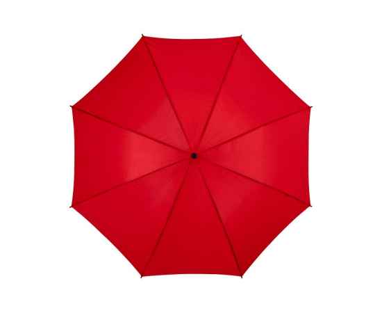 Зонт-трость Barry, 10905303p, изображение 4