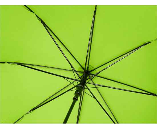 Зонт-трость Alina, 10940009, Цвет: лайм, изображение 3