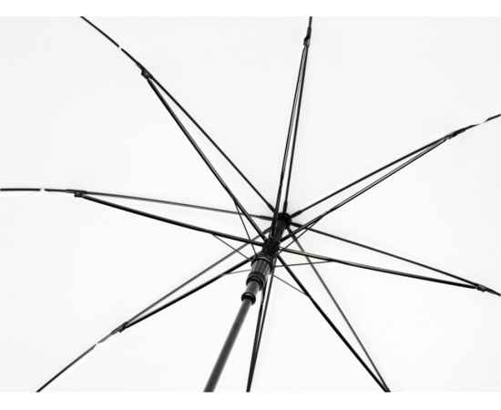 Зонт-трость Alina, 10940002, Цвет: белый, изображение 3