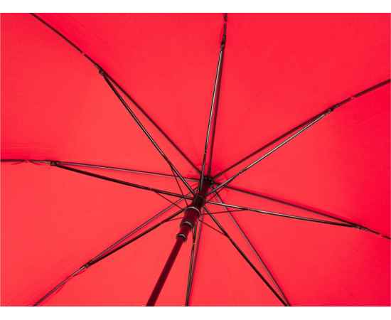 Зонт-трость Alina, 10940004, Цвет: красный, изображение 3