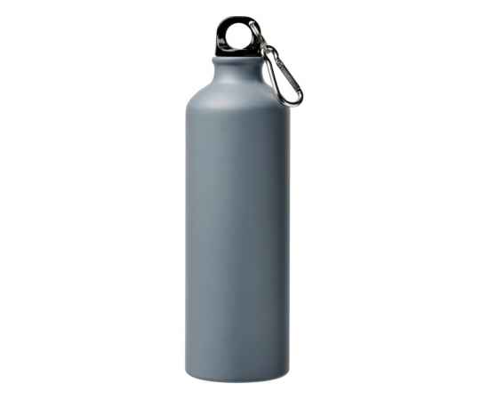 Бутылка Pacific с карабином, матовая, 10064002, Цвет: серый, Объем: 770, изображение 2