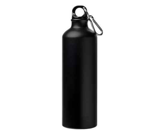 Бутылка Pacific с карабином, матовая, 10064000, Цвет: черный, Объем: 770, изображение 2