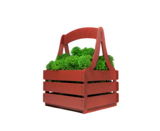 Композиция Корзинка со мхом, 4500605, Цвет: зеленый,темно-красный, изображение 3