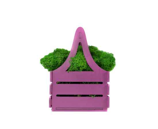 Композиция Корзинка со мхом, 4500606, Цвет: зеленый,фиолетовый, изображение 2