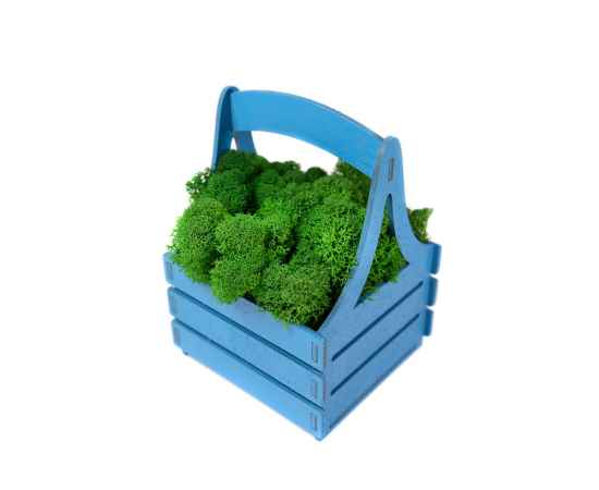 Композиция Корзинка со мхом, 4500603, Цвет: зеленый,синий, изображение 4