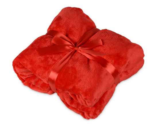 Подарочный набор Dreamy hygge с пледом и термокружкой, 700347.01, Цвет: красный,красный, Объем: 470, изображение 4