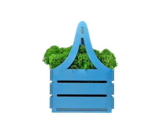 Композиция Корзинка со мхом, 4500603, Цвет: зеленый,синий, изображение 2