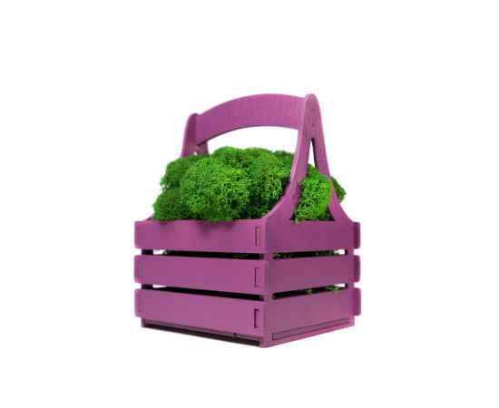 Композиция Корзинка со мхом, 4500606, Цвет: зеленый,фиолетовый, изображение 3