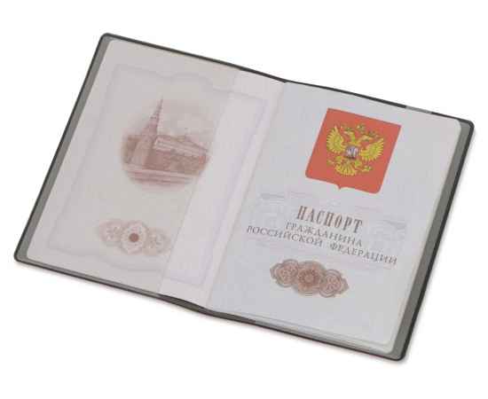 Обложка для паспорта Favor, 113301, Цвет: красный, изображение 2