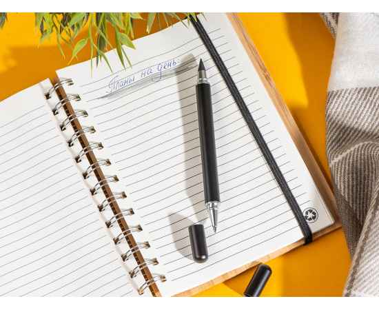 Металлическая ручка и вечный карандаш Van Gogh, 21023.07, Цвет: черный, изображение 8