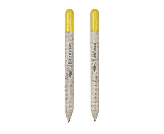 Набор Растущий карандаш mini, 2 шт. с семенами базилика и мяты, 220253, Цвет: белый,желтый,светло-серый, изображение 2