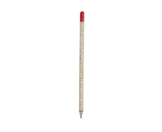 Растущий карандаш с семенами гвоздики, 220261, Цвет: красный,белый,светло-серый, изображение 2