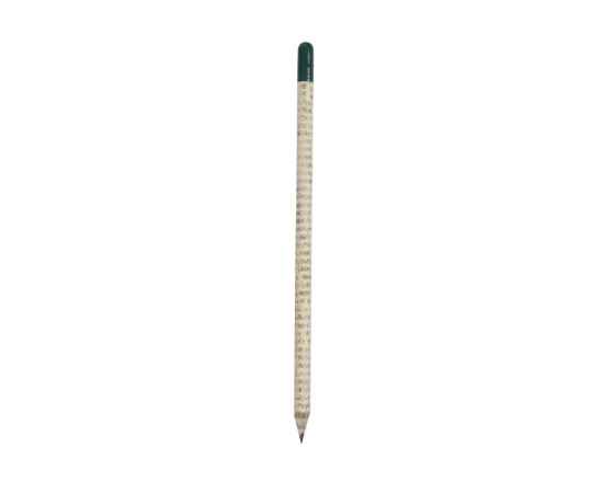 Растущий карандаш с семенами гвоздики, 220252, изображение 2
