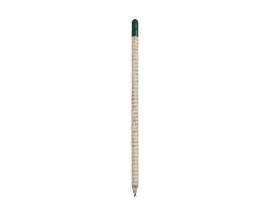 Растущий карандаш с семенами базилика, 220250, Цвет: зеленый,белый,светло-серый, изображение 2