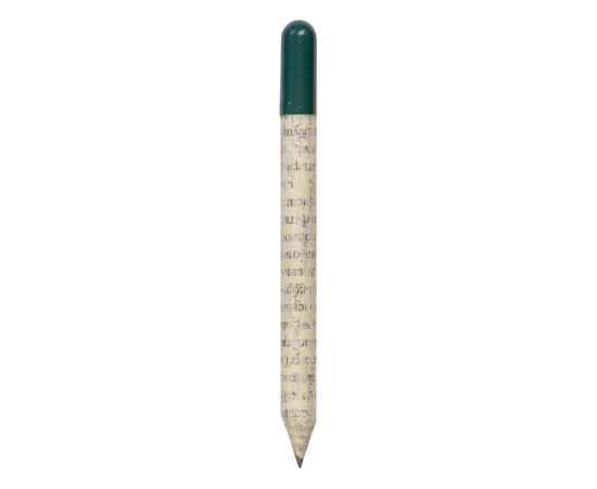 Растущий карандаш mini с семенами базилика, 220256, Цвет: зеленый,серый, изображение 2