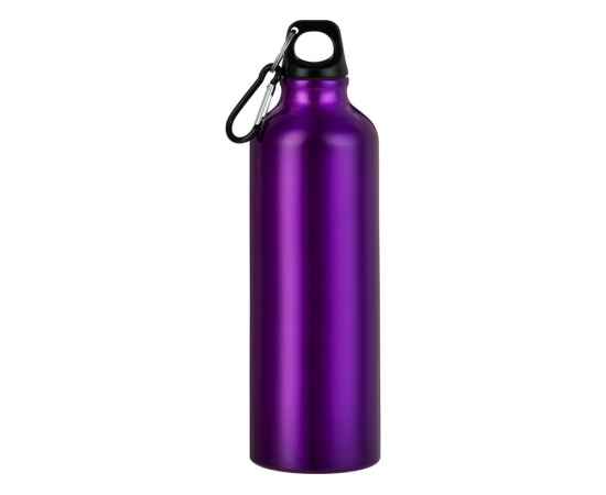 Бутылка Hip M с карабином, 770 мл, 5-10029708p, Цвет: пурпурный, Объем: 770, изображение 3