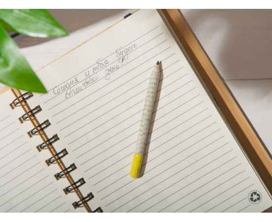 Растущий карандаш mini с семенами акации серебристой, 220255, Цвет: серый,желтый, изображение 6
