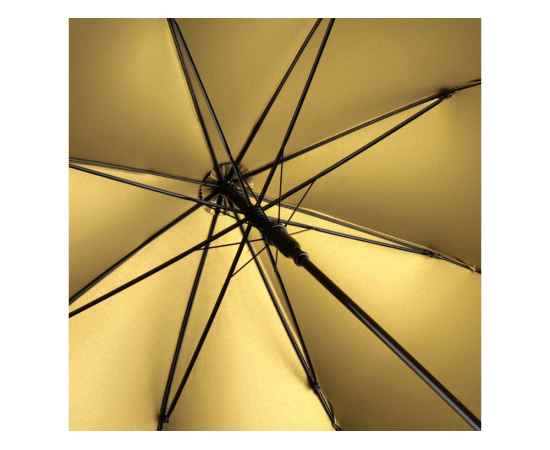 Зонт-трость Double face, 100078, Цвет: черный,золотистый, изображение 2