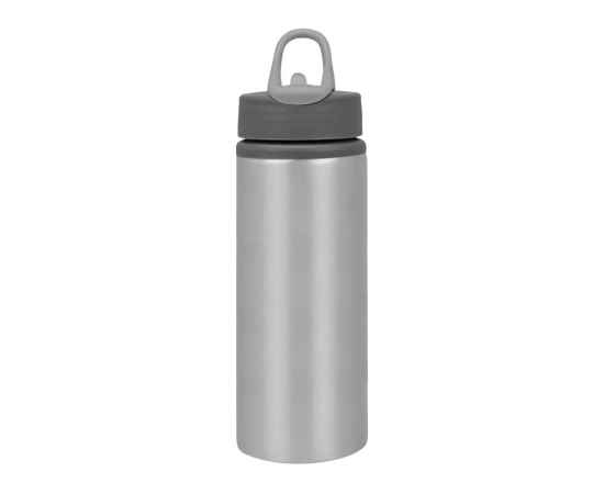 Бутылка для воды Rino, 880010p, Цвет: серый,серый,серебристый, Объем: 660, изображение 6