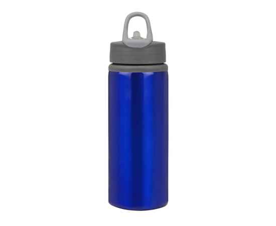 Бутылка для воды Rino, 880012p, Цвет: серый,серый,синий, Объем: 660, изображение 6