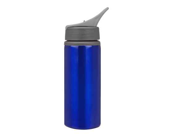Бутылка для воды Rino, 880012p, Цвет: серый,серый,синий, Объем: 660, изображение 7